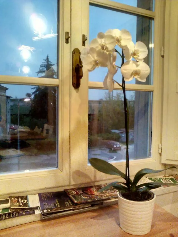 Corte San Lazzaro Lucca Guest house